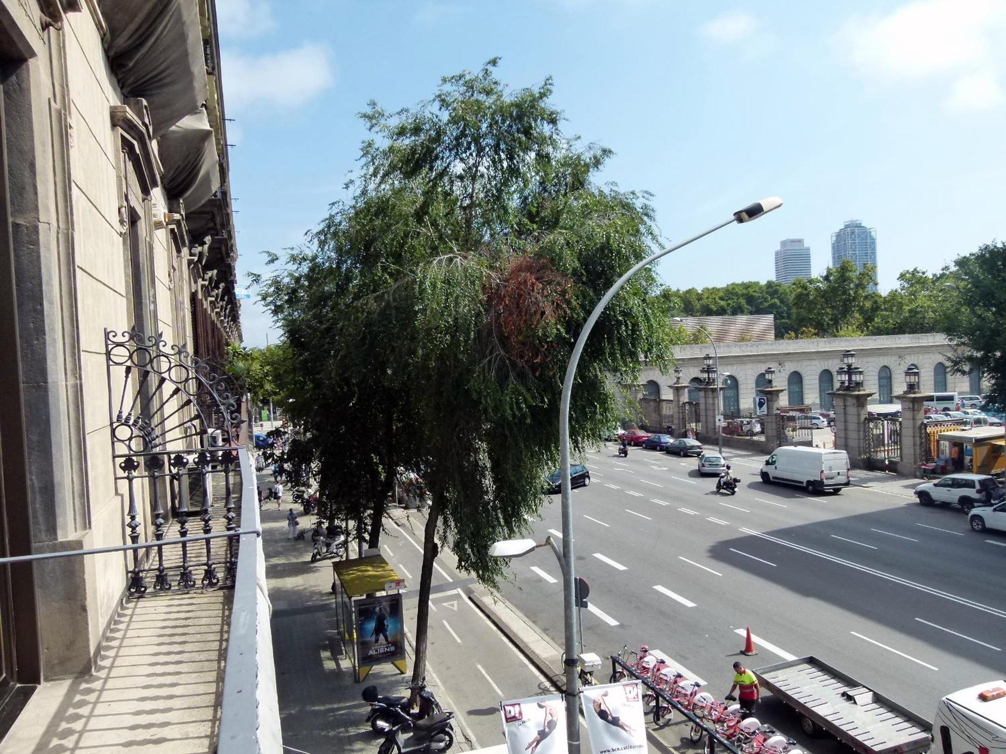 Hostal Nuevo Colon — Zdjęcia 3